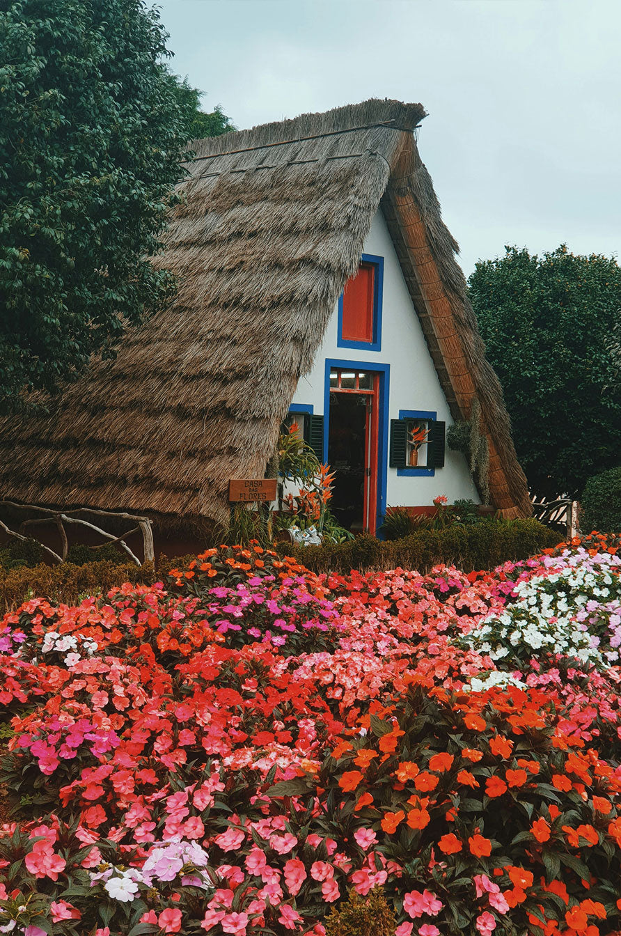 A charming thatched-roof house surrounded by vibrant flower beds, perfect for a peaceful retreat.