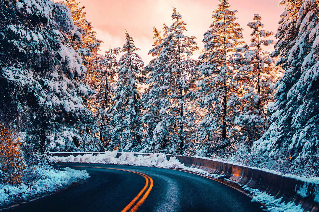 Scenic snowy highway surrounded by tall evergreen trees, perfect for a jigsaw puzzle adventure.