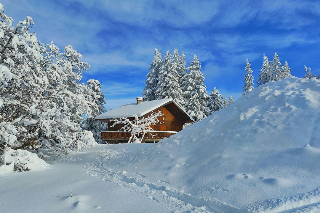 Snow cabin surrounded by snowy trees and a blue sky, perfect for a 500/1000 piece jigsaw puzzle experience.