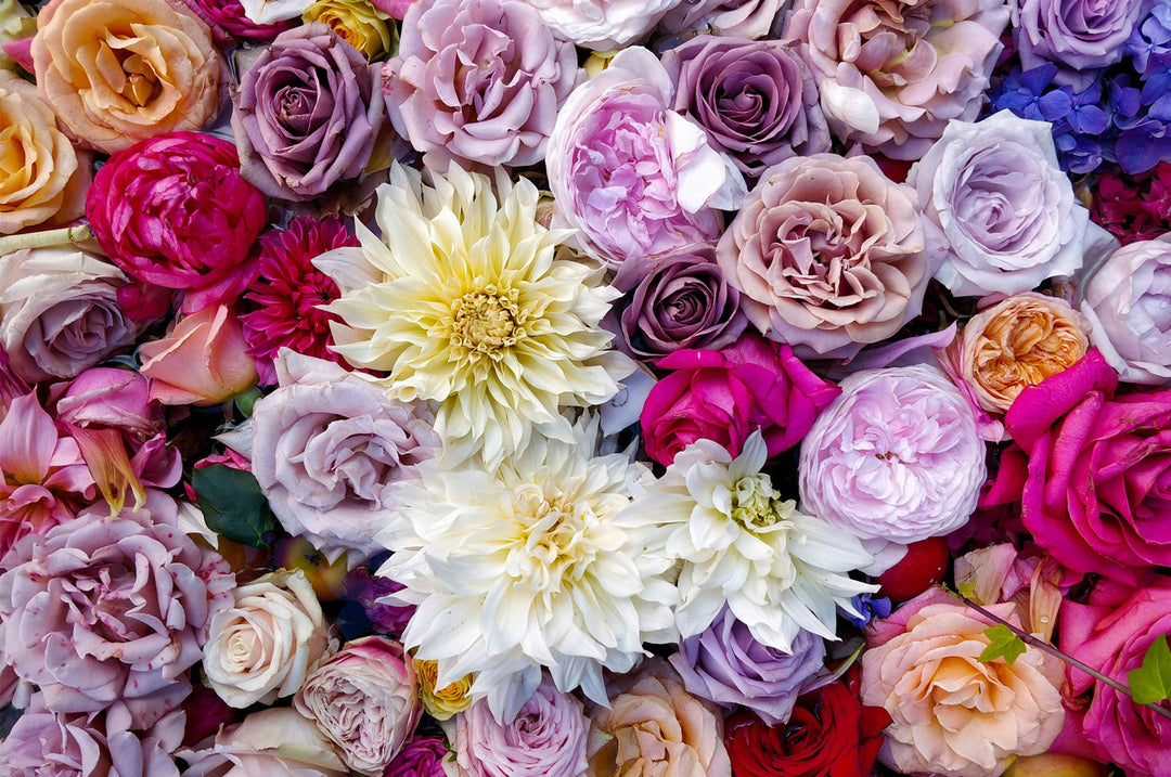 Colorful assortment of roses and flowers perfect for a vibrant jigsaw puzzle experience.